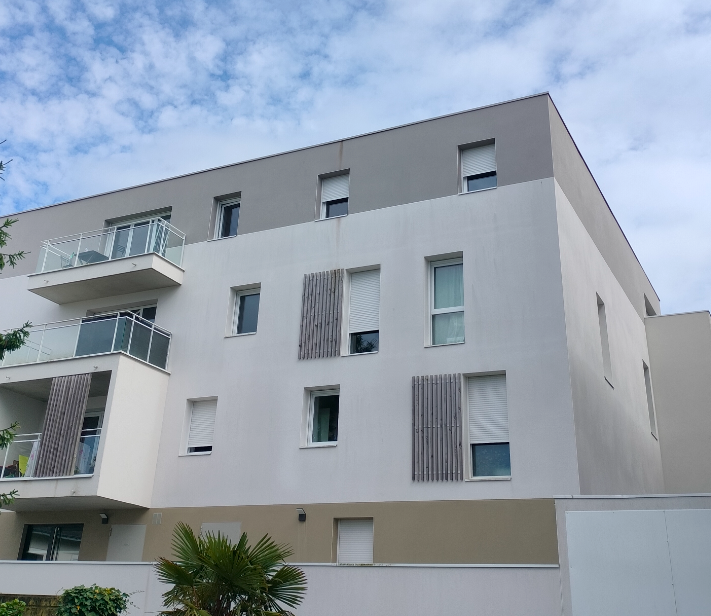 démoussage d'une façade avec produits bio