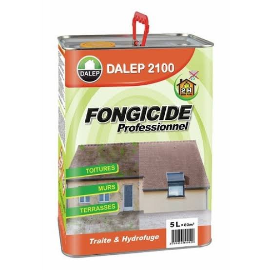 Quel produit choisir pour un démoussage de toiture?